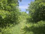 0 Sylvan 57 Acres - Photo 14