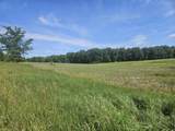0 Sylvan 57 Acres - Photo 6
