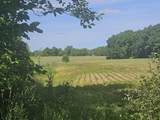 0 Sylvan 57 Acres - Photo 7