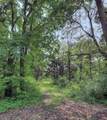 8232 Ramsdell Drive - Photo 6