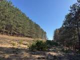 40 Acres +/- 150th Avenue - Photo 13