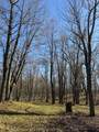 40 Acres +/- 150th Avenue - Photo 32
