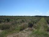 1997 Townline Road - Photo 19