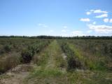 1997 Townline Road - Photo 20