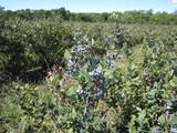 1997 Townline Road - Photo 23
