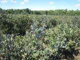 1997 Townline Road - Photo 24
