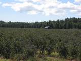 1997 Townline Road - Photo 34