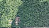 10450 Tuttle Road - Photo 7