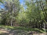 3.75 Acres Wayne Road - Photo 2