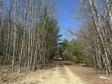 3.75 Acres Wayne Road - Photo 4