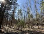 3.75 Acres Wayne Road - Photo 6