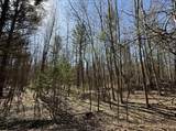 3.75 Acres Wayne Road - Photo 7