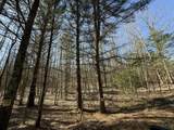 3.75 Acres Wayne Road - Photo 8