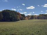 TBD Bordman Road - Photo 14