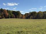 TBD Bordman Road - Photo 16