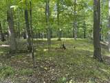 TBD Bordman Road - Photo 18