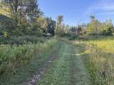 TBD Bordman Road - Photo 22