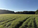 TBD Bordman Road - Photo 24
