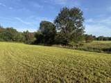 TBD Bordman Road - Photo 30
