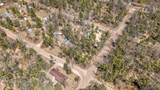 V/L Newbern Blvd - Photo 6