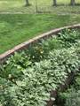 21154 Hale Street - Photo 61