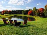 1246 Rose Center Road - Photo 113