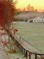1246 Rose Center Road - Photo 130