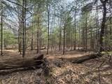 00 6 Mile Road - Photo 15