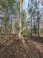 00 6 Mile Road - Photo 16