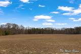10479 Friske Drive - Photo 30