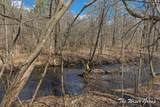 10479 Friske Drive - Photo 9