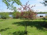 7861 Dyer Lake Drive - Photo 17