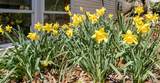 8937 Indian Hills Road - Photo 17