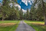 12575 Green Tree Trail - Photo 10