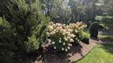 4462 Manchester Lane - Photo 50