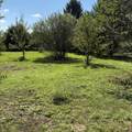 72670 Co Rd 376 - Photo 30