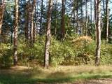 10412 Mountain View Trail - Photo 1