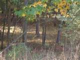 10412 Mountain View Trail - Photo 2