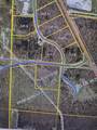  9.5 Acres Eastlake Rd - Photo 4