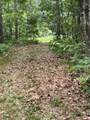 4254 Ryerson Road - Photo 16