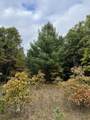 4254 Ryerson Road - Photo 20