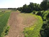 V/L Hinchman Road - Photo 11