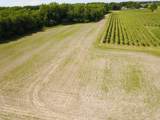 V/L Hinchman Road - Photo 13
