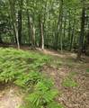 Lot 1 Emerald Ridge - Photo 8