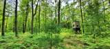 1308 Beaver Road - Photo 34