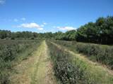 1997 Townline Road - Photo 29