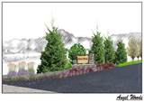11333 Angel Woods Drive - Photo 5