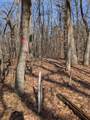 Parcel B 136th Street - Photo 17