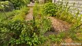 5738 Blaine Avenue - Photo 40