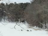 1785 Schneider Lake Road - Photo 39